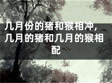几月份的猪和猴相冲,几月的猪和几月的猴相配