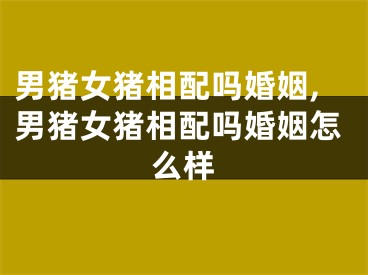 男猪女猪相配吗婚姻,男猪女猪相配吗婚姻怎么样
