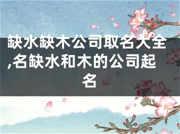 缺水缺木公司取名大全,名缺水和木的公司起名