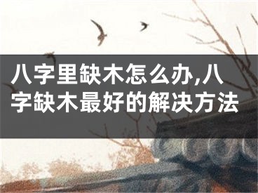 八字里缺木怎么办,八字缺木最好的解决方法