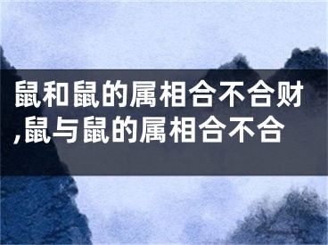 鼠和鼠的属相合不合财,鼠与鼠的属相合不合