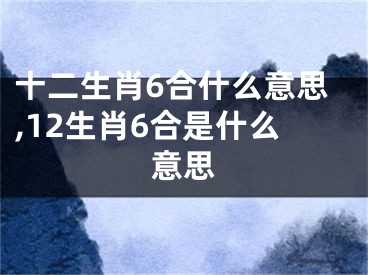 十二生肖6合什么意思,12生肖6合是什么意思