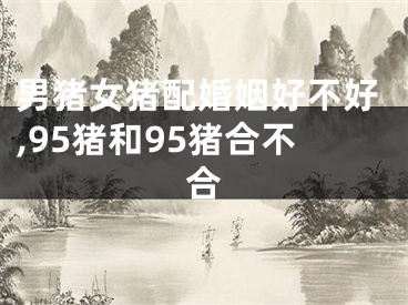 男猪女猪配婚姻好不好,95猪和95猪合不合