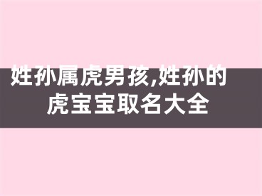 姓孙属虎男孩,姓孙的虎宝宝取名大全