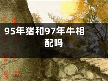 95年猪和97年牛相配吗
