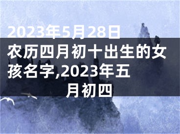 2023年5月28日农历四月初十出生的女孩名字,2023年五月初四