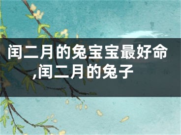 闰二月的兔宝宝最好命,闰二月的兔子