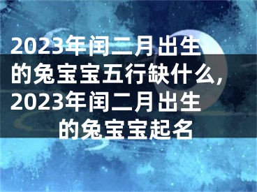 2023年闰二月出生的兔宝宝五行缺什么,2023年闰二月出生的兔宝宝起名