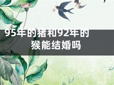 95年的猪和92年的猴能结婚吗