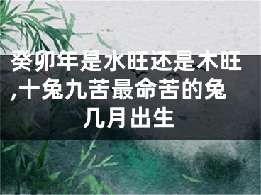 癸卯年是水旺还是木旺,十兔九苦最命苦的兔几月出生