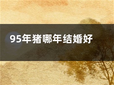 95年猪哪年结婚好