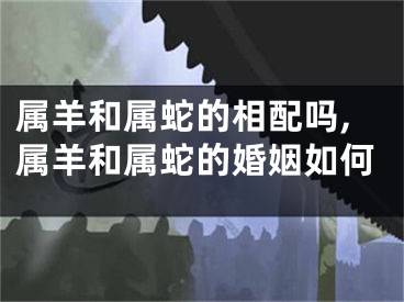 属羊和属蛇的相配吗,属羊和属蛇的婚姻如何