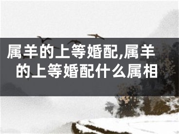 属羊的上等婚配,属羊的上等婚配什么属相