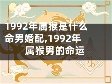 1992年属猴是什么命男婚配,1992年属猴男的命运