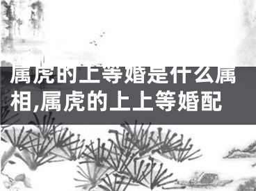属虎的上等婚是什么属相,属虎的上上等婚配