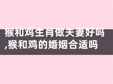 猴和鸡生肖做夫妻好吗,猴和鸡的婚姻合适吗