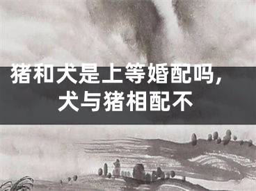猪和犬是上等婚配吗,犬与猪相配不