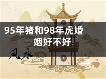 95年猪和98年虎婚姻好不好