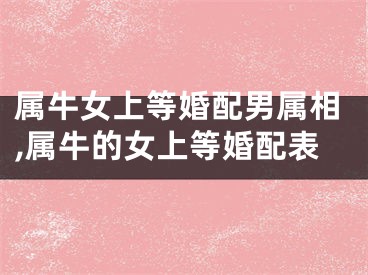 属牛女上等婚配男属相,属牛的女上等婚配表