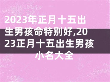 2023年正月十五出生男孩命特别好,2023正月十五出生男孩小名大全