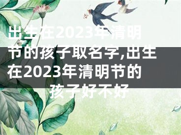 出生在2023年清明节的孩子取名字,出生在2023年清明节的孩子好不好