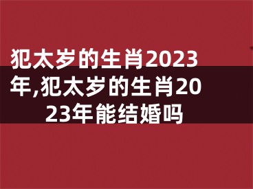 犯太岁的生肖2023年,犯太岁的生肖2023年能结婚吗