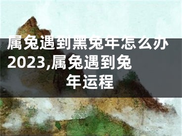 属兔遇到黑兔年怎么办2023,属兔遇到兔年运程