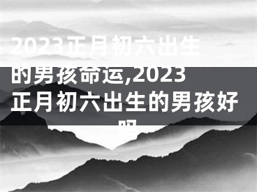 2023正月初六出生的男孩命运,2023正月初六出生的男孩好吗