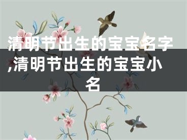 清明节出生的宝宝名字,清明节出生的宝宝小名