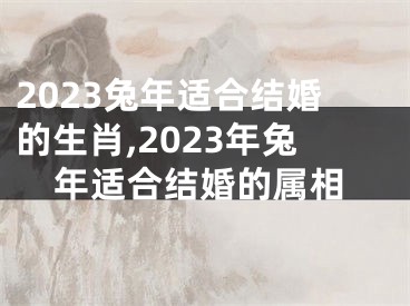 2023兔年适合结婚的生肖,2023年兔年适合结婚的属相