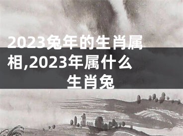 2023兔年的生肖属相,2023年属什么生肖兔