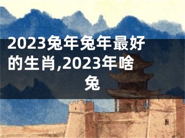 2023兔年兔年最好的生肖,2023年啥兔