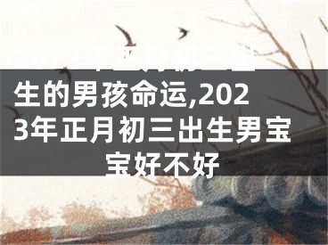 2023年正月初三出生的男孩命运,2023年正月初三出生男宝宝好不好