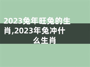 2023兔年旺兔的生肖,2023年兔冲什么生肖