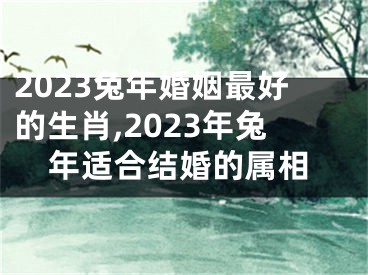 2023兔年婚姻最好的生肖,2023年兔年适合结婚的属相