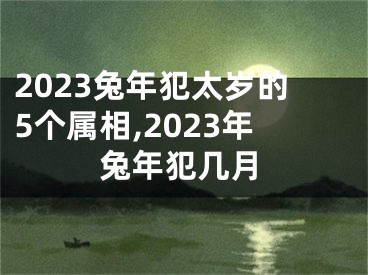2023兔年犯太岁的5个属相,2023年兔年犯几月