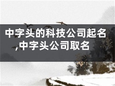 中字头的科技公司起名,中字头公司取名