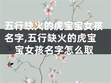 五行缺火的虎宝宝女孩名字,五行缺火的虎宝宝女孩名字怎么取
