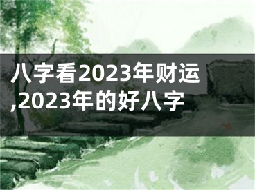 八字看2023年财运,2023年的好八字