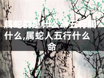 属蛇的是什么命五行属什么,属蛇人五行什么命