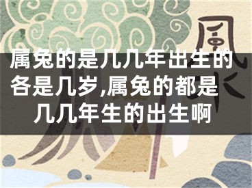 属兔的是几几年出生的各是几岁,属兔的都是几几年生的出生啊