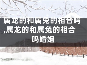 属龙的和属兔的相合吗,属龙的和属兔的相合吗婚姻