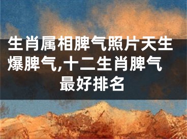 生肖属相脾气照片天生爆脾气,十二生肖脾气最好排名
