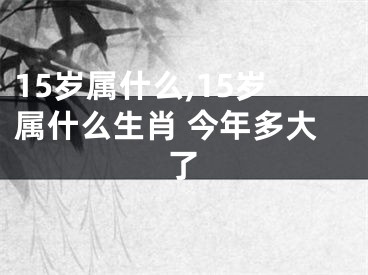 15岁属什么,15岁属什么生肖 今年多大了
