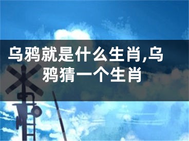乌鸦就是什么生肖,乌鸦猜一个生肖