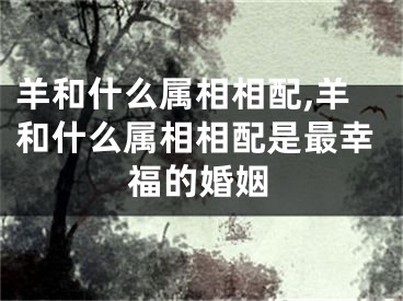 羊和什么属相相配,羊和什么属相相配是最幸福的婚姻