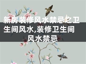 新房装修风水禁忌之卫生间风水,装修卫生间风水禁忌