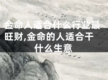 金命人适合什么行业最旺财,金命的人适合干什么生意