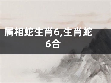 属相蛇生肖6,生肖蛇6合