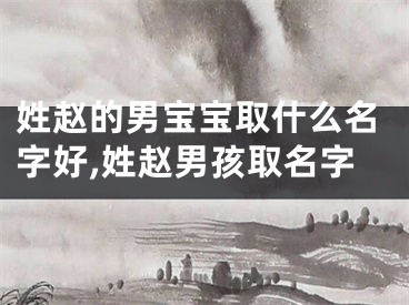 姓赵的男宝宝取什么名字好,姓赵男孩取名字